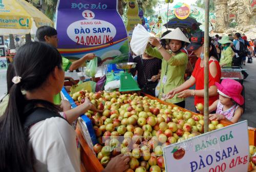 Nhiều hoạt động vui chơi, giải trí phục vụ thiếu nhi tại Thành phố Hồ Chí Minh 
